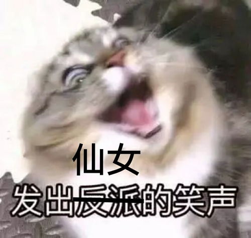 传宗接代的意思指什么，传宗接代的出处