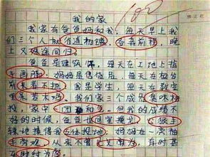 小学二年级作文200字左右八篇