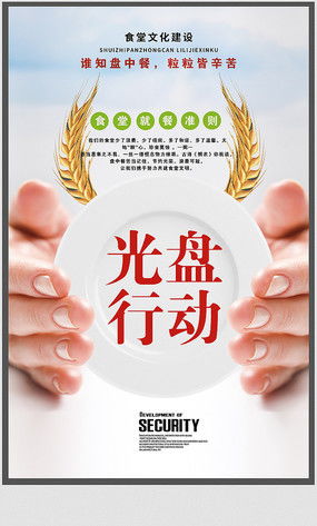 志愿者日开展志愿服务活动方案