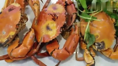 海鲜有哪些品种