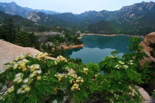 二龙山旅游风景区，二龙山海拔