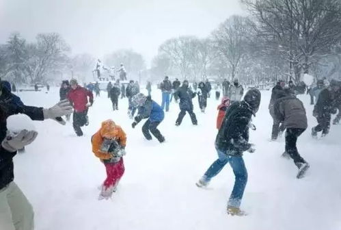 打雪仗的拼音怎么拼写，打雪仗用拼音怎么写