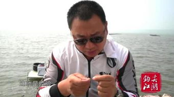 觊觎怎么读什么意思
