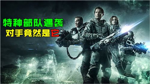 王力宏《火力全开》这首歌曲中有句叫 lady卡卡,什么意思?