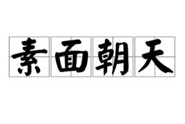 让灵魂素面朝天什么意思，素面朝天出自哪里