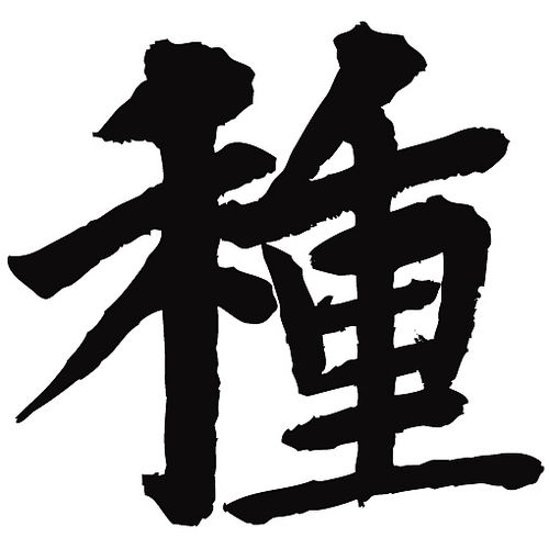 遇见的繁体字