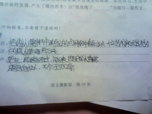 我的财富作文400字，我的财富作文800字记叙文