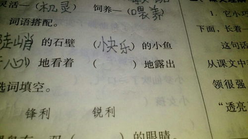 什么地荡漾