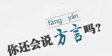憧憬的读音和意思