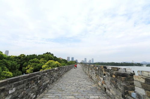 刘禹锡<<台城>> 鉴赏