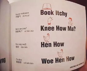 表示拿的词语有哪些?