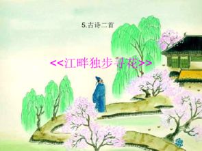 江畔独步寻花其四杜甫，江畔独步寻花其五带拼音