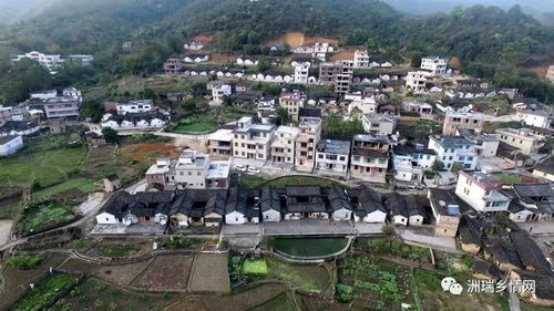 大坑村属于哪里，大坑村2023年迎娘娘盛典