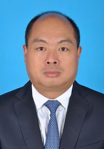 张晓鸣简历
