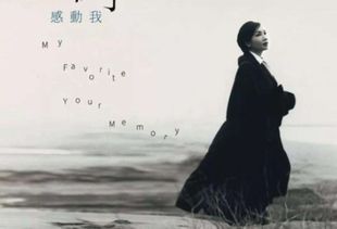 若不是因为你歌词，谢谢你,因为你歌词