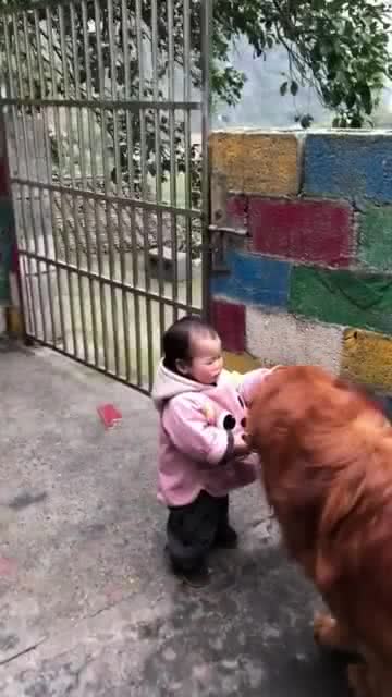 什么哭什么假慈悲写出动物的名称，什么哭什么假慈悲动物