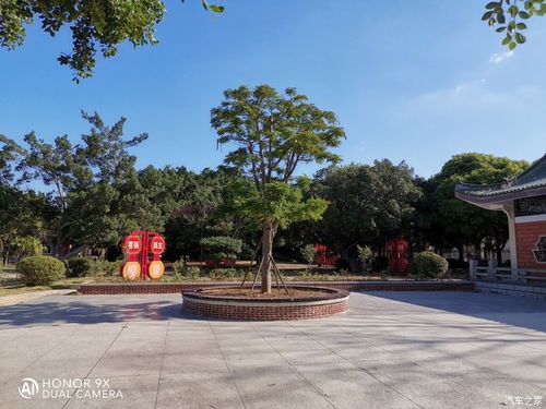 公园游记400字作文，公园游记作文