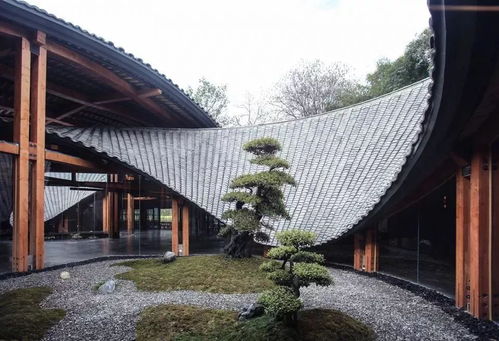 竹里馆古诗带拼音，竹里馆古诗