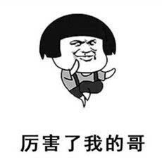 服气的意思是什么?，服气的意思成语什么头地四字成语怎么读