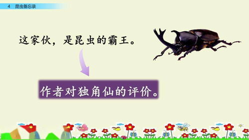 走兽昆虫的拼音，昆虫的拼音拼