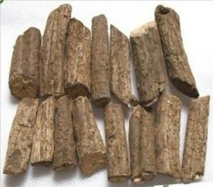这是什么植物