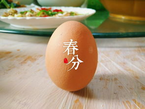 春分立蛋是什么意思
