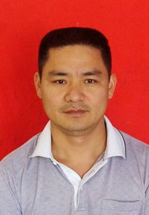 曹伟是哪个公司的?钢研高纳独立董事