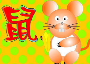 属鼠人2012年运程