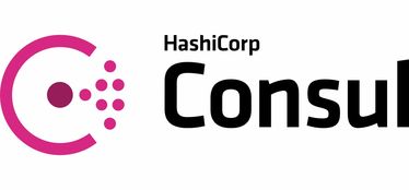 consultant，consulor