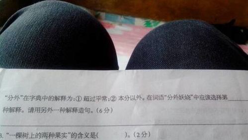 分外什么意思