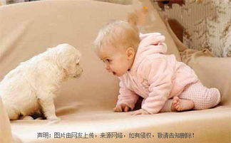 十画的字给女孩取名字，繁体字十画的字给女孩取名字