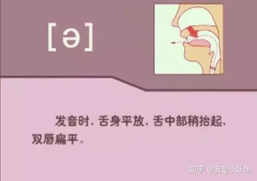 active怎么读的