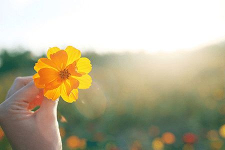 生命诚可贵爱情价更高若为自由故两者皆可抛这句诗出自何处?_百度知
