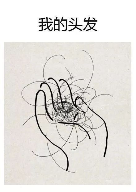 了如指掌的意思