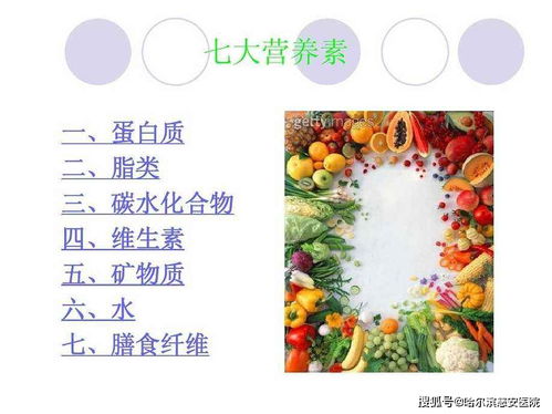 人身体营养七大要素是哪些?