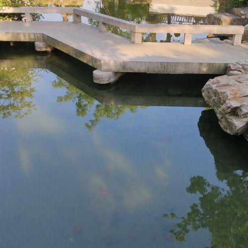 什么的池水如何填空?