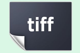 tiffany官网中国，tiffany怎么读