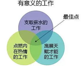无以回报是什么意思，我无以回报是什么意思