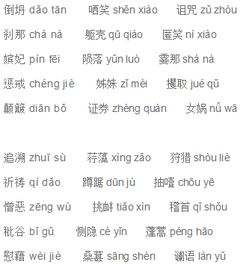 错字拼音怎么写