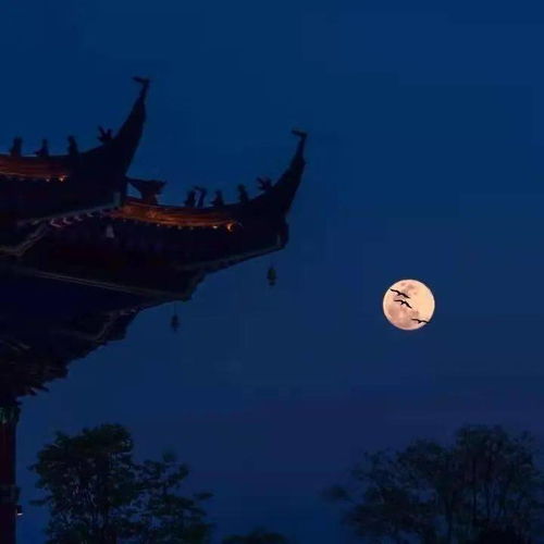 中秋登楼望月作者名字拼音，中秋登楼望月宋米芾拼音