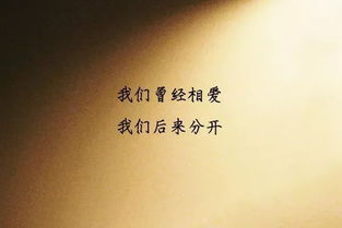 龙云的《该忘了》 歌词