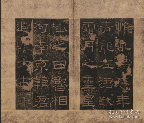 赦造荣国府是什么意思