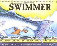 swimmer怎么读，swimmer翻译