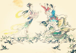 牛郎织女鹊桥相会的情景，牛郎织女鹊桥相会的阅读感想