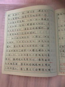 事物描写作文五百字