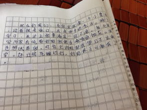 我学会了做饭作文400字