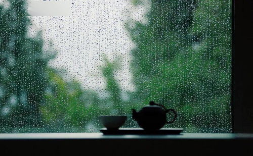 雨的笔顺 雨的笔画 雨字怎么写