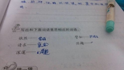 爱好的近义词