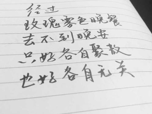 什么什么不至