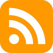 feed什么意思
